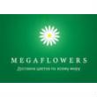 купоны Megaflowers